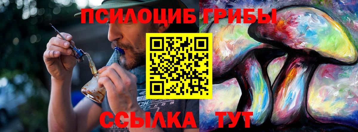 Галлюциногенные грибы Psilocybine cubensis  Вход с VPN  Мелеуз 